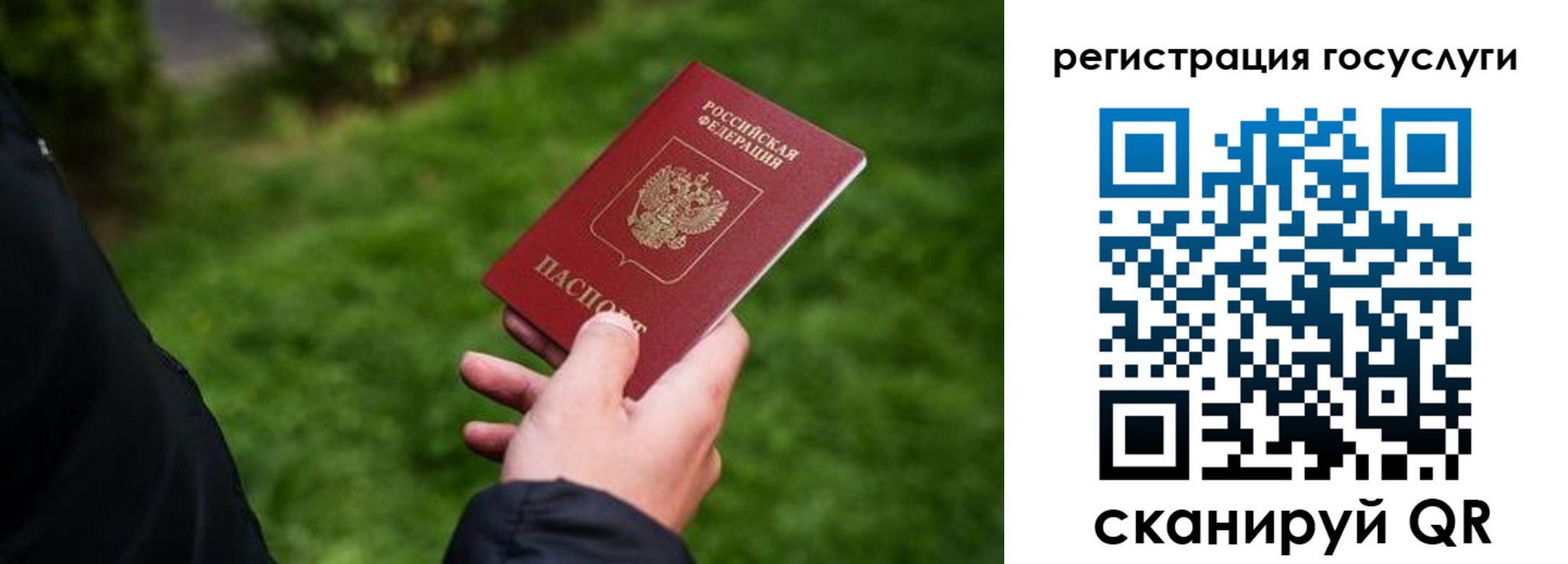 прописка в Боровичах